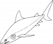 Very Easy Mako Shark