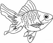 Fantail Goldfish