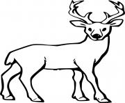 Simple Realistic Deer