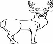 Simple Deer