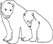 Two Polar Bears