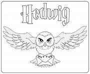 Hedwig