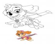 skye aircraft paw patrol