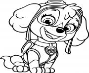 Beautiful Skye from Paw Patrol