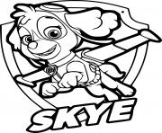 Paw Patrol Skye Badge