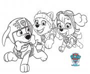 everest zuma skye paw patrol