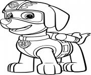 Zuma from Paw Patrol