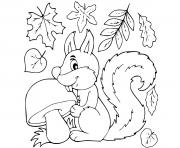 autumn leaves squirrel