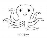 octopus