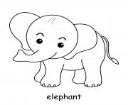 cute elephant