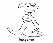 cute kangaroo