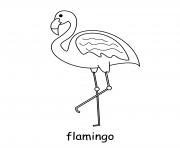 flamingo