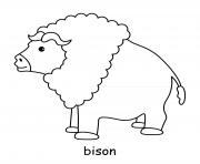 bison