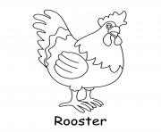 rooster