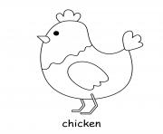 chicken