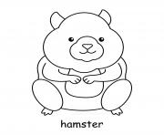 hamster