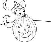 Jack O Lantern with a Cute Cat