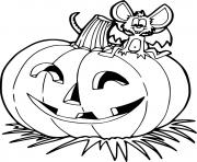 A Mouse on the Jack O Lantern