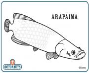 arapaima octonaut creature